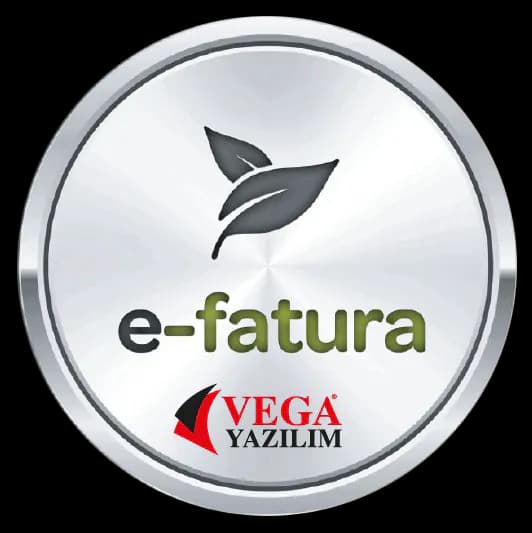 Vega E-Fatura Programı